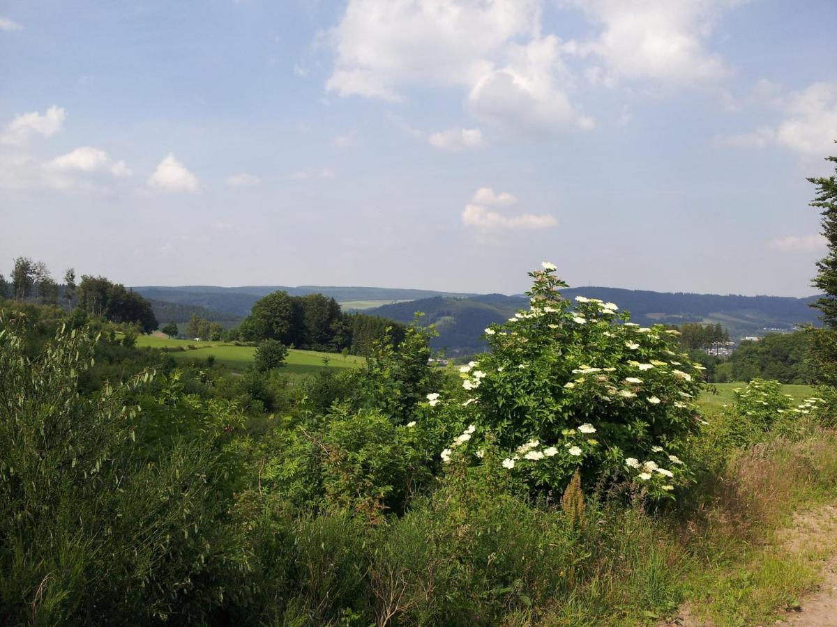 Hotel Bigger Hof - Wirtshaus Platzhirsch Am Jahnplatz Olsberg Luaran gambar